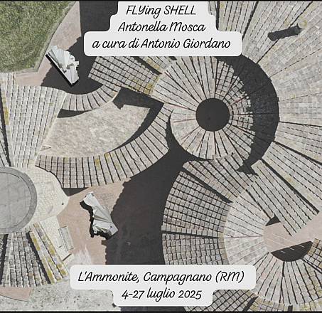 Flying shell: sculture di antonella mosca a cura di antonio giordano