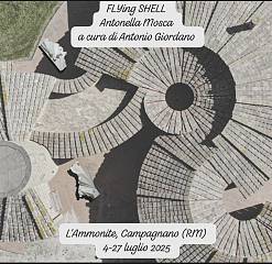 Flying shell: sculture di antonella mosca a cura di antonio giordano