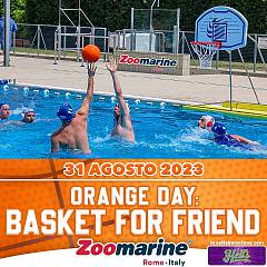 Arriva  orange day: basket for friend, lo sport piu' amato del mondo sbarca a zoomarine