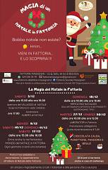 La magia del natale in fattoria - il mercatino