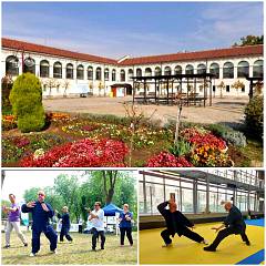 Taijiquan alla cascina giaione