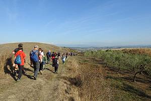 La via francigena in valdelsa, tra sogno e leggenda