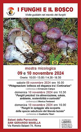 I funghi e il bosco