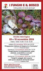 I funghi e il bosco