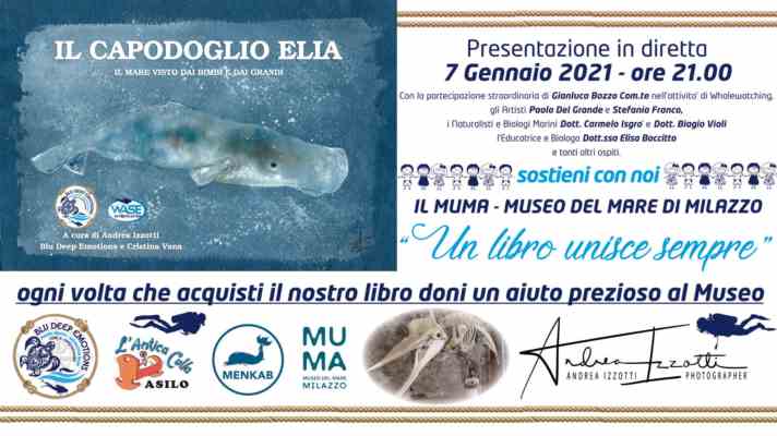 L capodoglio elia: il mare visto dai bimbi e dai grandi