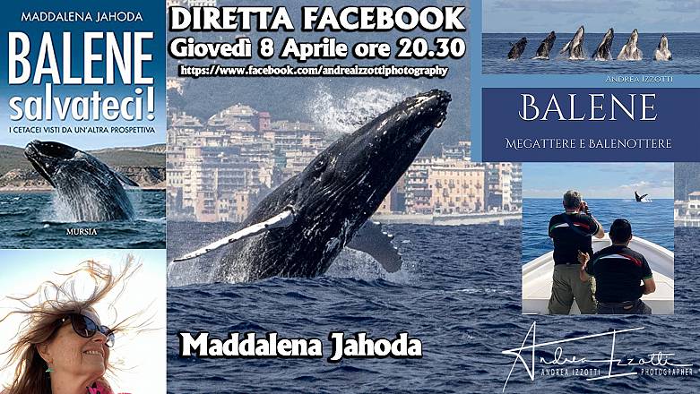 Balene salvateci! andrea izzotti incontra maddalena jahoda